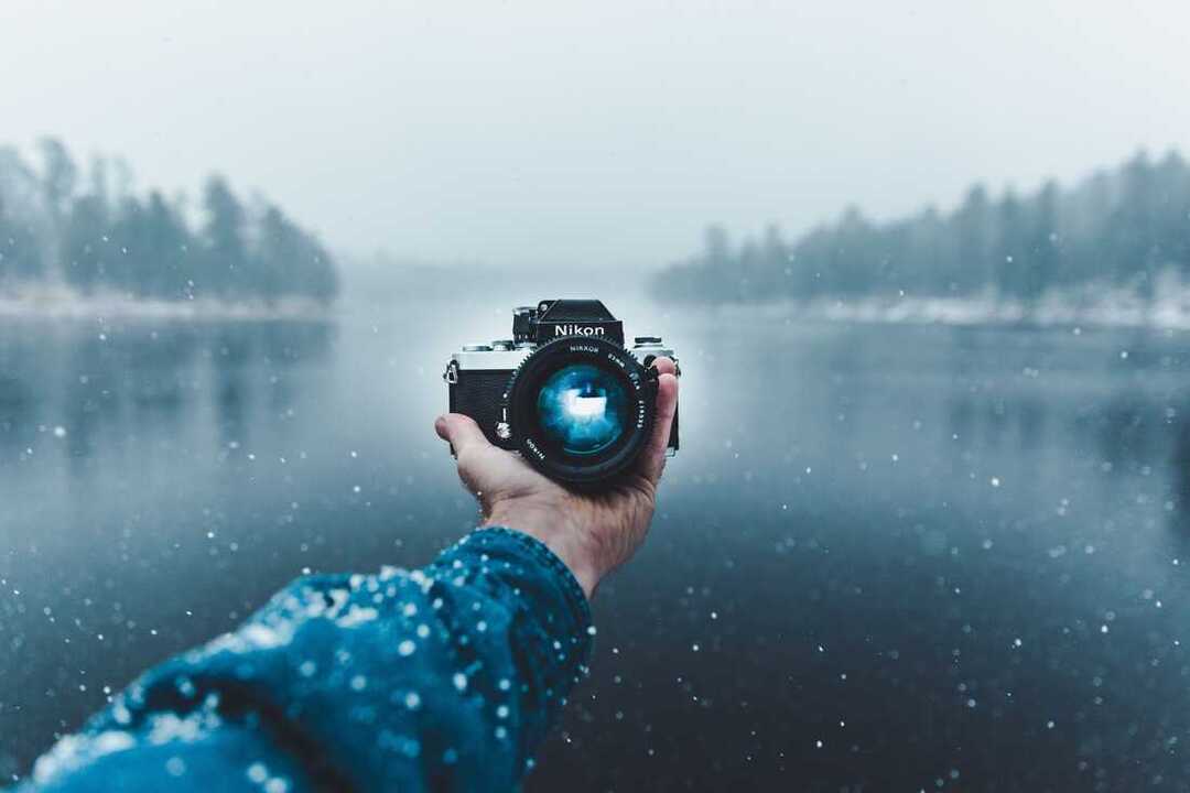 Picture